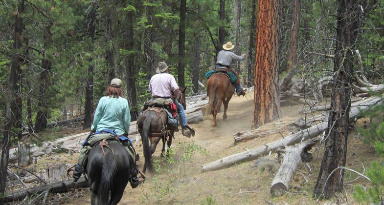 Day Ride. Photo by Linda Thomas and Lane Thomas.