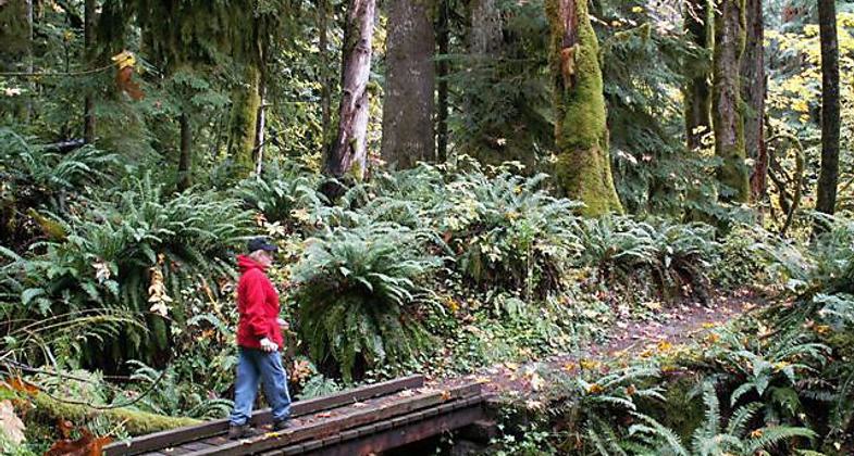 Photo by Ken Squiers.