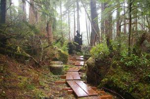 Tillamook Head Trail
