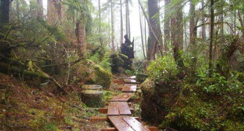 photo courtesy PortlandHikers.org.