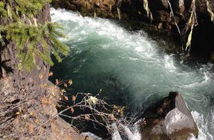 Upper Rogue River Trail