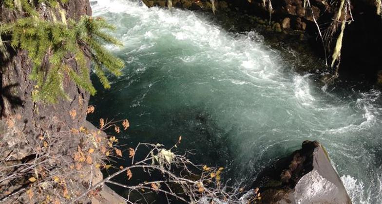 Trip to upper Rogue River by Prospect & Union Creek Or. Photo by Lou Young.