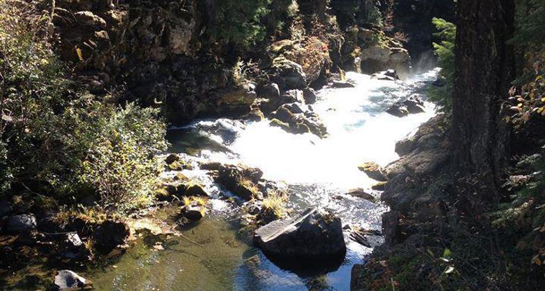Trip to upper Rogue River by Prospect & Union Creek Or. Photo by Lou Young.