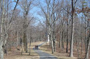 Kings Mountain Hiking