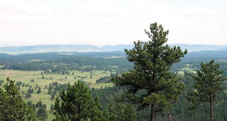 Rankin Ridge - View from fire tower - 7-16-18. Photo by Jim Walla.