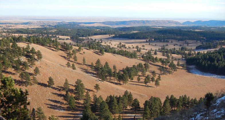 View from Rankin Ridge fire tower. Photo by NPS.