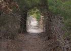Herman Baker Park hiking trail. Photo by Sherman Parks and Recreation.