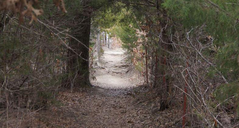 Herman Baker Park hiking trail. Photo by Sherman Parks and Recreation.