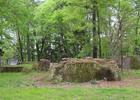 The ruins of the Four C Mill, a former sawmill, in Ratcliff Lake Recreation Area, Houston County, Texas. Photo by Larry D. Moore.