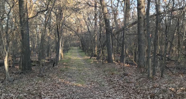 Nic Martinez and Nick Griffin Refuge Technicians remove some tripping hazards. Photo by FWNCR Staff.