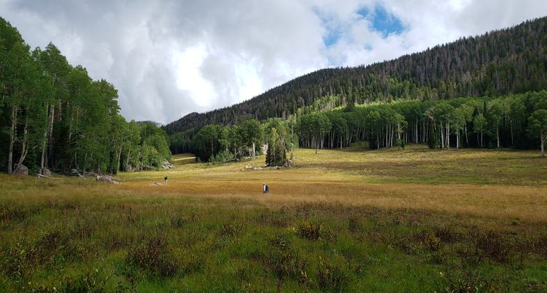 The meadow was beautiful! Twelve mile out and back hike. Photo by Karen Mikkelson.