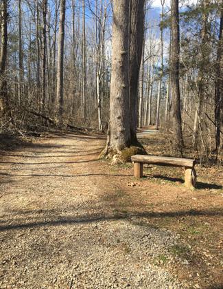 Rest stop along the trail. Photo by Donna Kridelbaugh.
