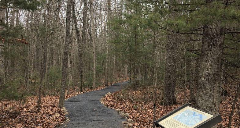 Accessible trail through forest. Photo by Lions Club: Basye-Bryce Mtn.