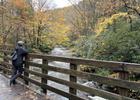Taking in the view along the Virginia Creeper Trail. Photo by Jennifer Wampler.
