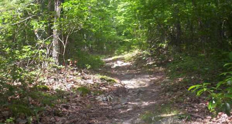 Wild Oak Trail view. Photo by Wiki.