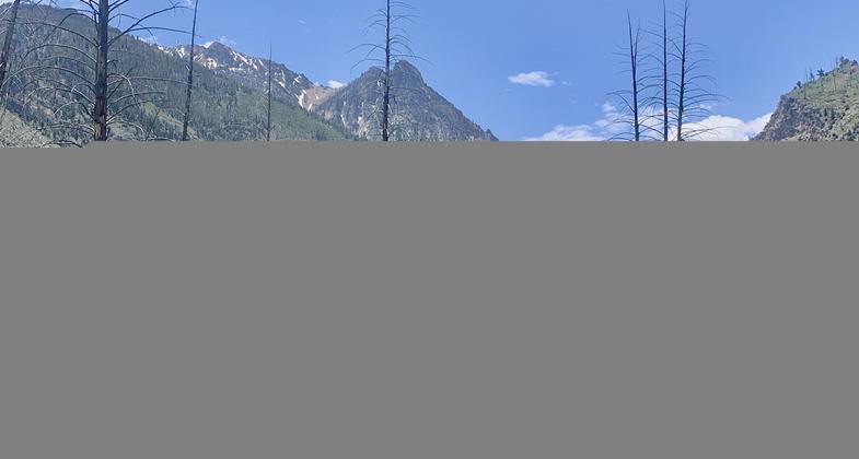 Intern Rose sits amongst the wildflowers clearing logs that have fallen. Photo by Pulaski Users Group.