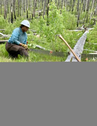 Intern Rose sits amongst the wildflowers clearing logs that have fallen. Photo by Pulaski Users Group.
