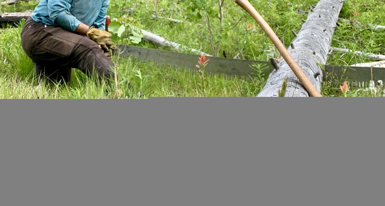Rose shows off her crosscut saw after a long day of cutting. Photo by Pulaski Users Group.