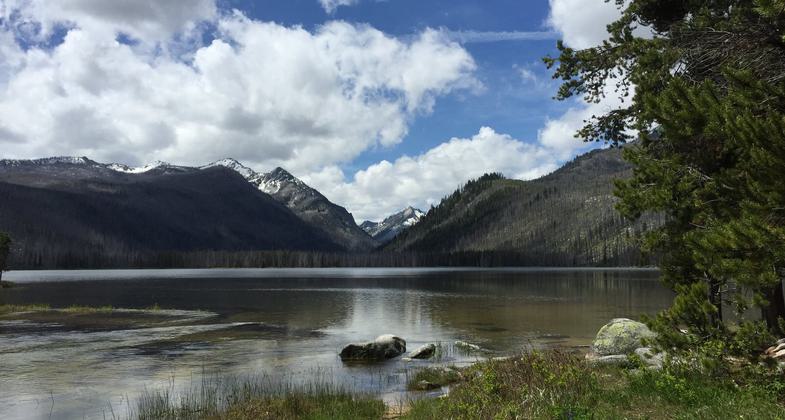 The Loon Creek Trail connects to Loon Lake. Photo by USDA Forest Service.