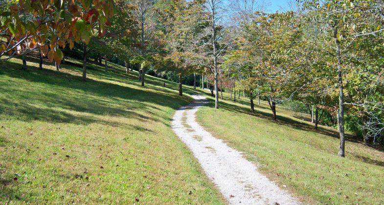 Part of the Paintsville Lake Kiwanis Trail in Staffordsville, Kentucky. Photo by Wikicommons.