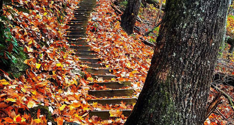 Autumn on the Foothills Trail. Photo by Christopher Marshburn.