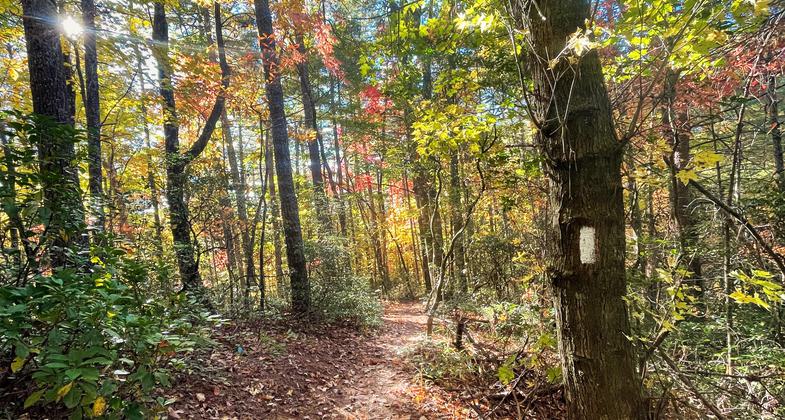 Autumn on the Foothills Trail. Photo by Christopher Marshburn.