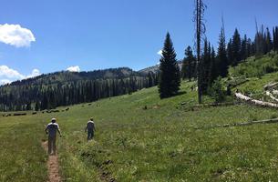 Lava Ridge Trail
