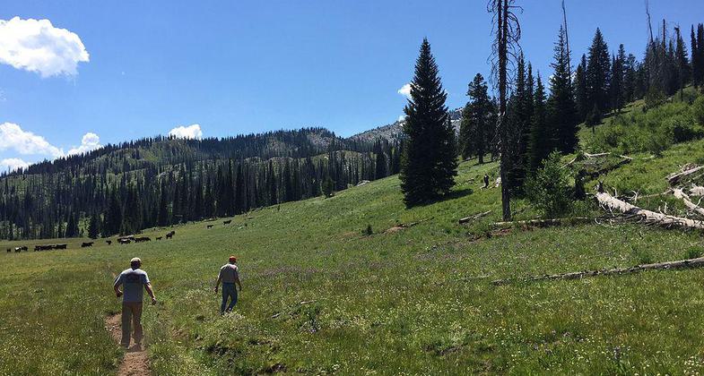 Payette National Forest in Idaho. Photo by USCapitol wiki.