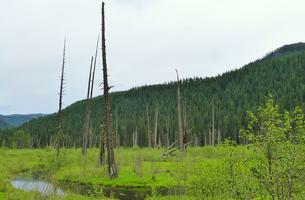 Marble Creek Trail System