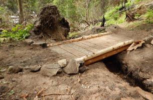 Meadow Creek Trail #726