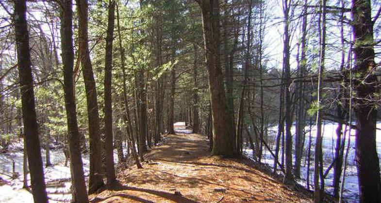 Raised trail bed rises above the snow, Brimfield, MA. Photo by Scott Benoit.