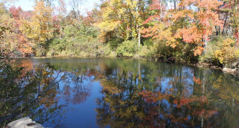 East Brimfield Trail at location of Grand Trunk bridge by Quinebaug in fall. Photo by Lois Lucier.