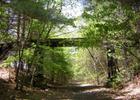 Old road bridge near Connecticut line, Douglas, MA. Photo by Scott Benoit.