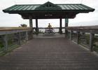 The western terminus of the trail at Withlacoochee Bay on the Gulf of Mexico. Photo by Heather Nagy.