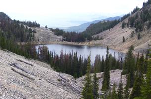 Mill Creek-Main Fork Trail
