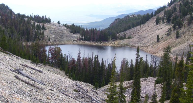 Mill Creek Lake view. Photo by USFS.
