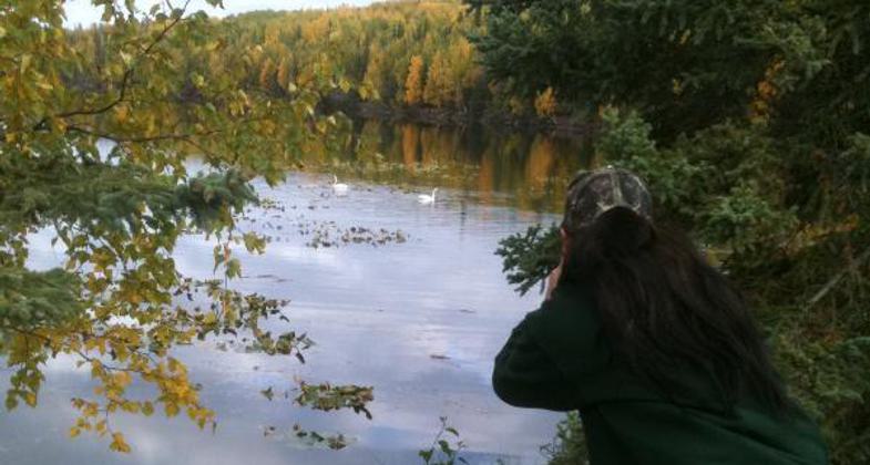 Kenai Canoe trails. Photo by Alaska Canoe.