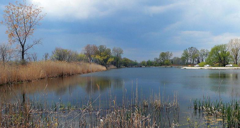 Ottawa National Wildlife Refuge, Ohio, USA. Photo by Dakota Callaway/wiki.