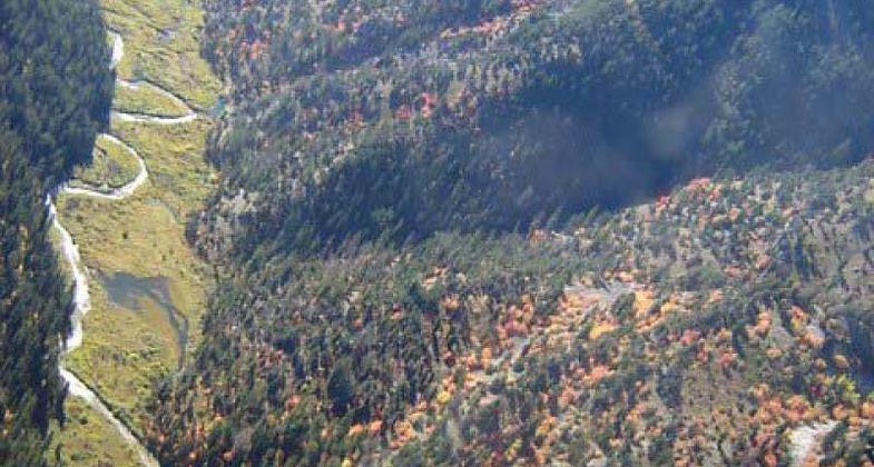 Back country guide and pack string near Palisades Lower Lake. Photo by USDA Forest Service Staff.