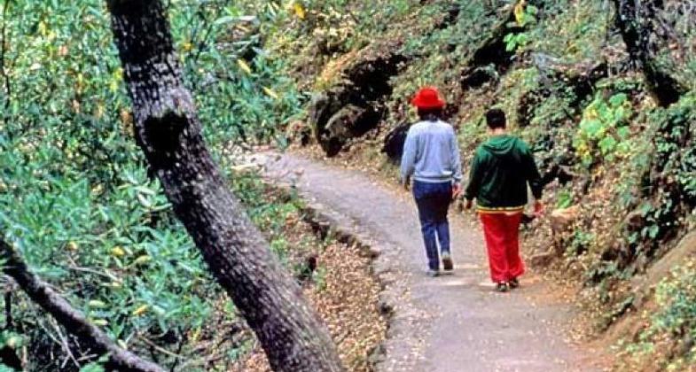 Trail to Crystal Cave. Photo by NPS.