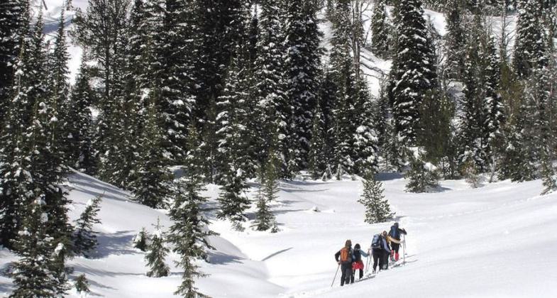 Cross country skiing at Whoop Um Up Park. Photo by USFS.
