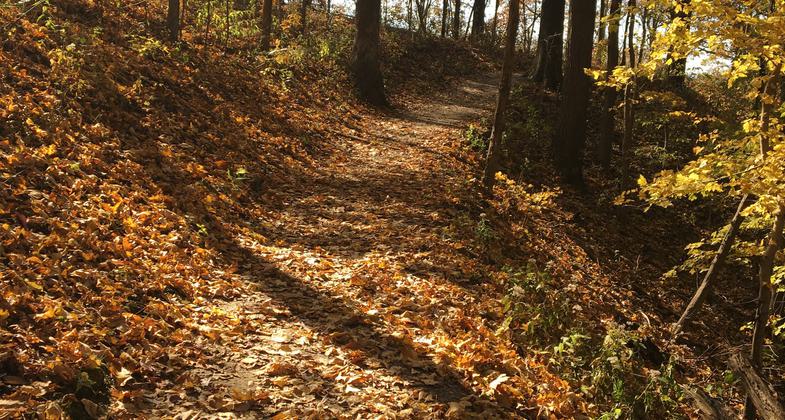 Inspiration Point offers panoramic views of the Mississippi River Valley. Photo by Donna Kridelbaugh.