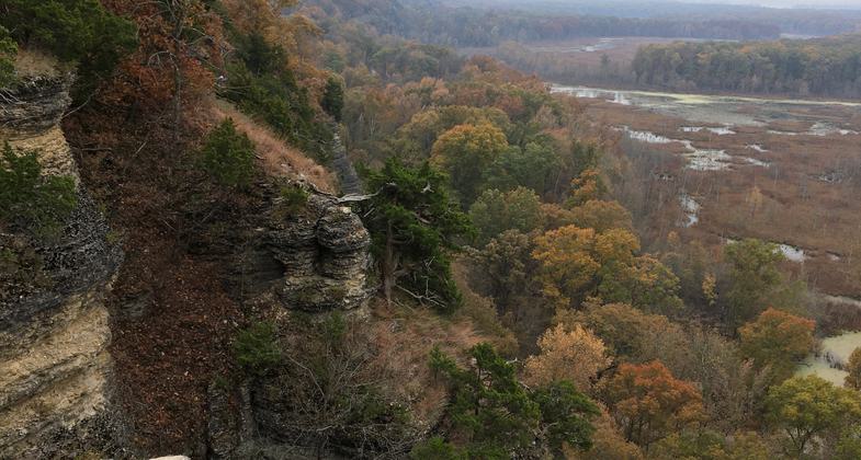 The lower portion of the trail dips into the forest at McCann Springs. Photo by Donna Kridelbaugh.