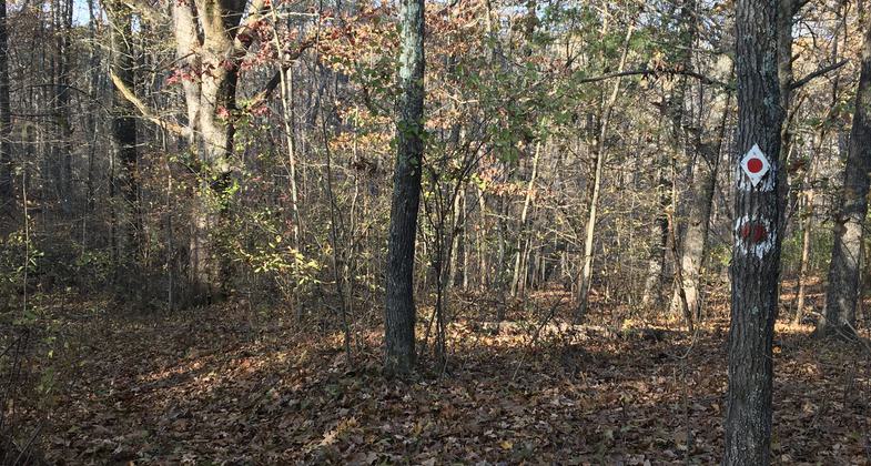 A primitive group campground is located on the trail at 5.5 miles (counterclockwise). A permit is required. Photo by Donna Kridelbaugh.