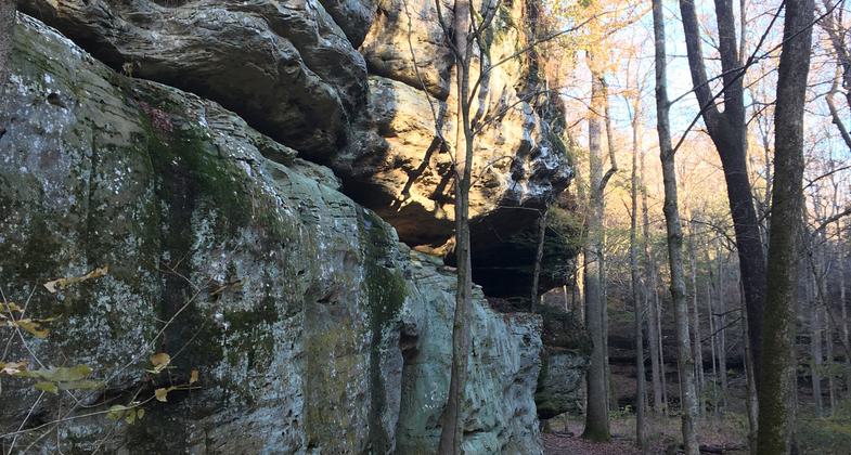 A staircase descends from the upper trail to access the lower trail and ox-lot cave. Photo by Donna Kridelbaugh.