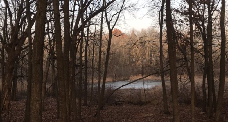 Shag Bark Trail Head. Photo by Ane Olivares.