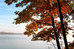 Starved Rock State Park