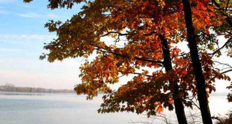 Photo by Fiana Shapiro.