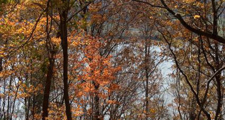 The Adventure Hiking Trail offers a bit of pioneer history, passing the remains of old homesteads. Photo by Pete Banta.