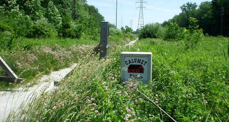 Photo by Wiki Daniel R. Zajac.